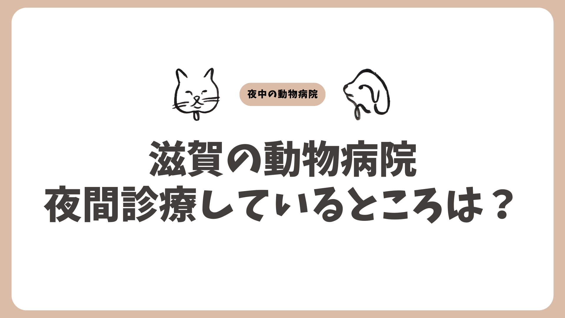 滋賀のおすすめの夜間動物病院