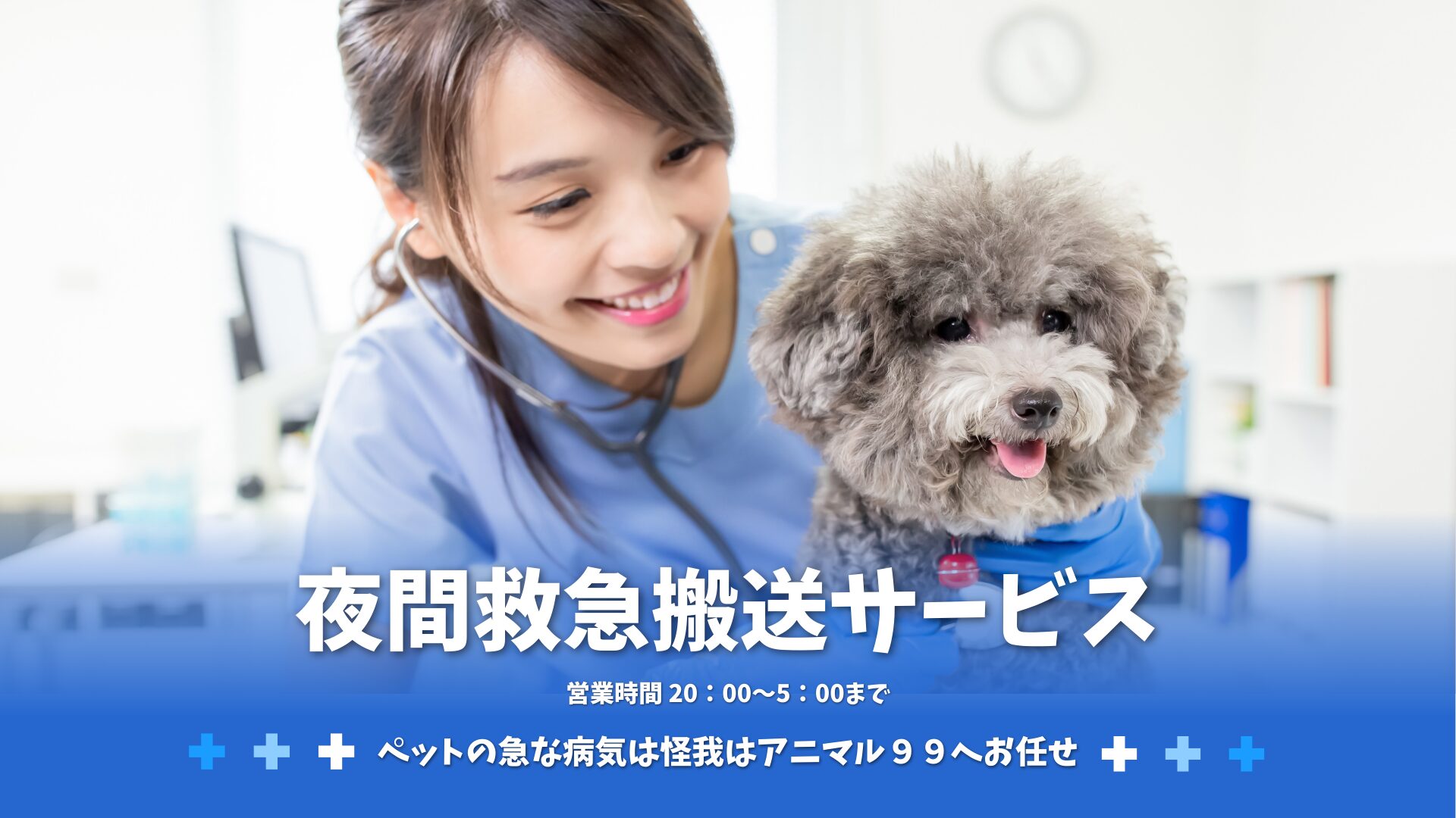 夜間救急搬送はアニマル99