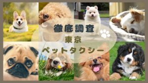 安くて魅力あふれる東京のペットタクシーを徹底調査【45選】
