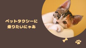 富山のおすすめのペットタクシー