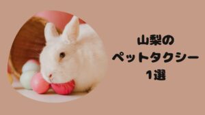 山梨のおすすめのペットタクシー
