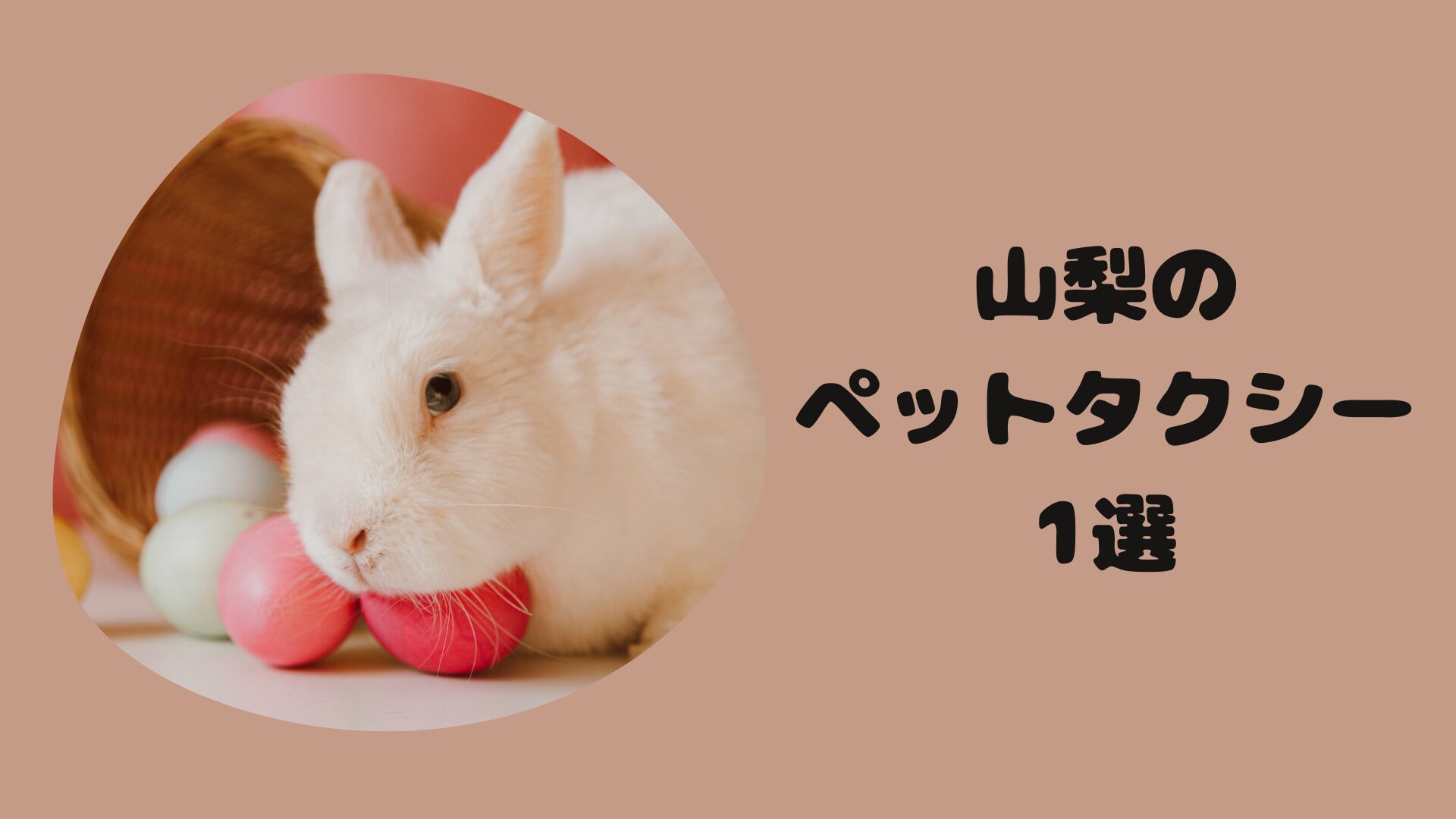 山梨のおすすめのペットタクシー