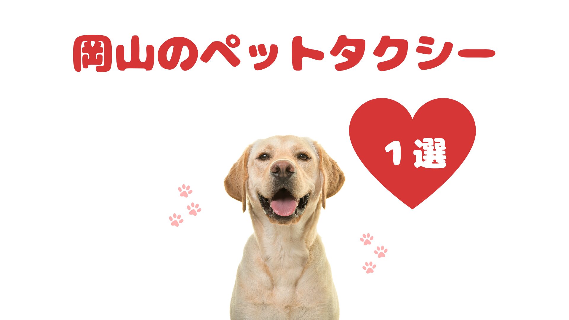 岡山のおすすめのペットタクシー