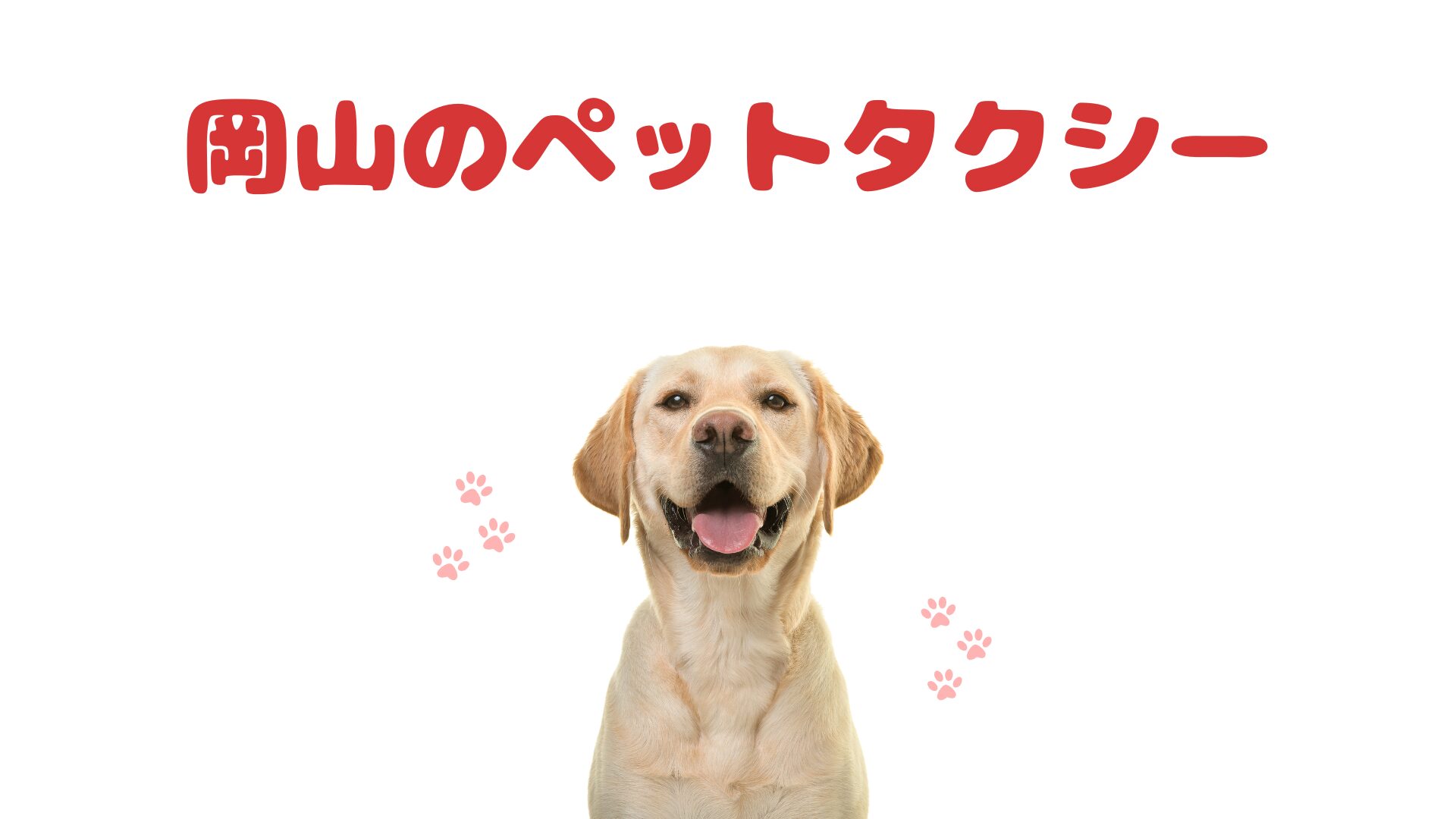 岡山で営業している今乗りたいペットタクシー【1選】