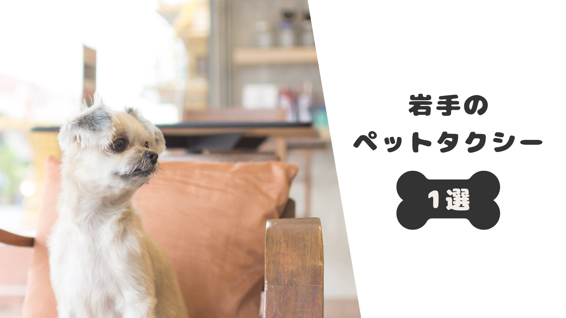 岩手のいすすめのペットタクシー