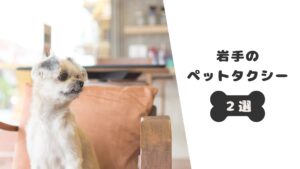岩手のおすすめのペットタクシーはココだ！【2選】