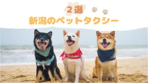 新潟のおすすめのペットタクシー
