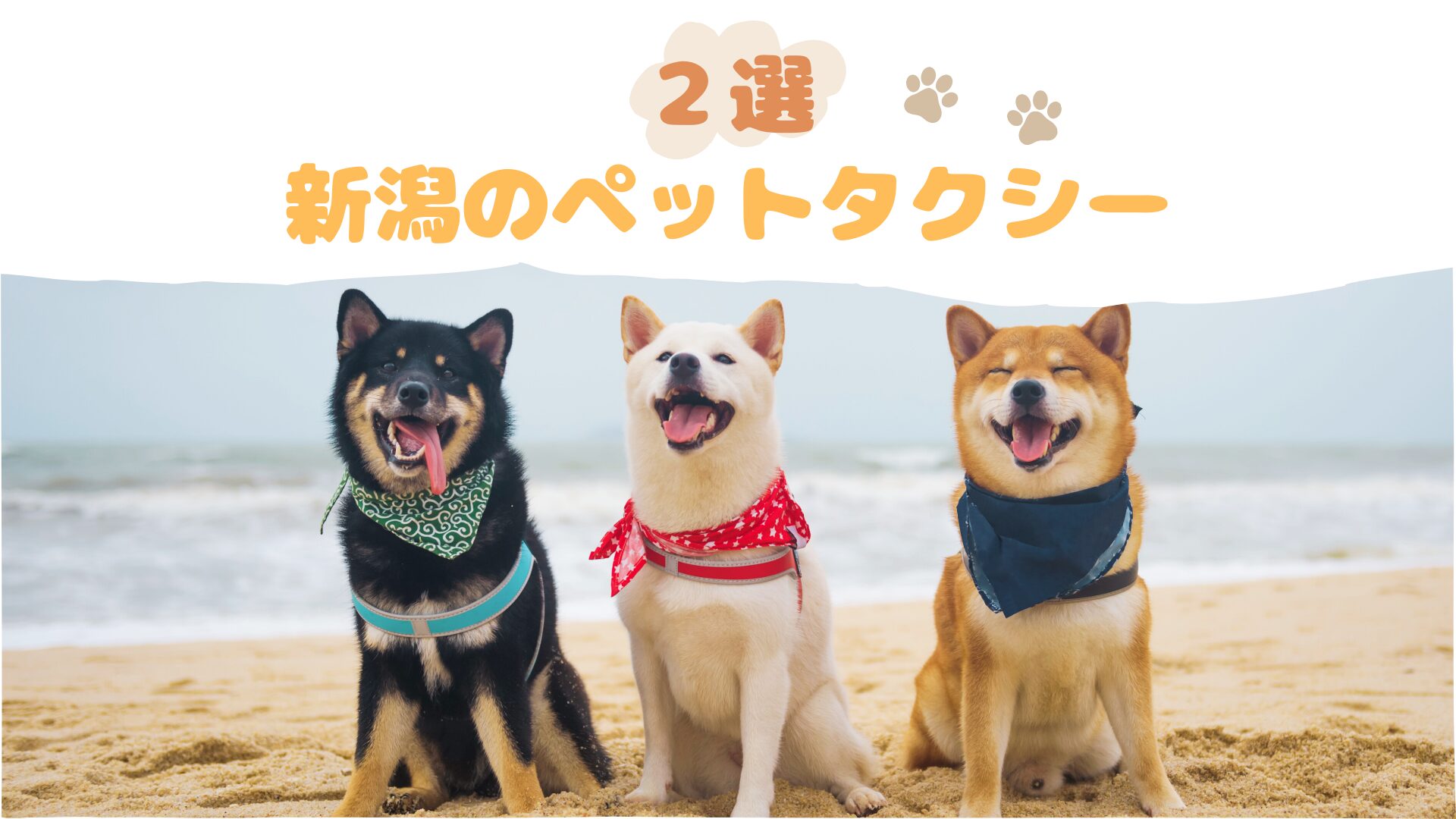 新潟のおすすめのペットタクシー