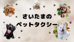 海はないけど埼玉には魅力あるペットタクシーがある