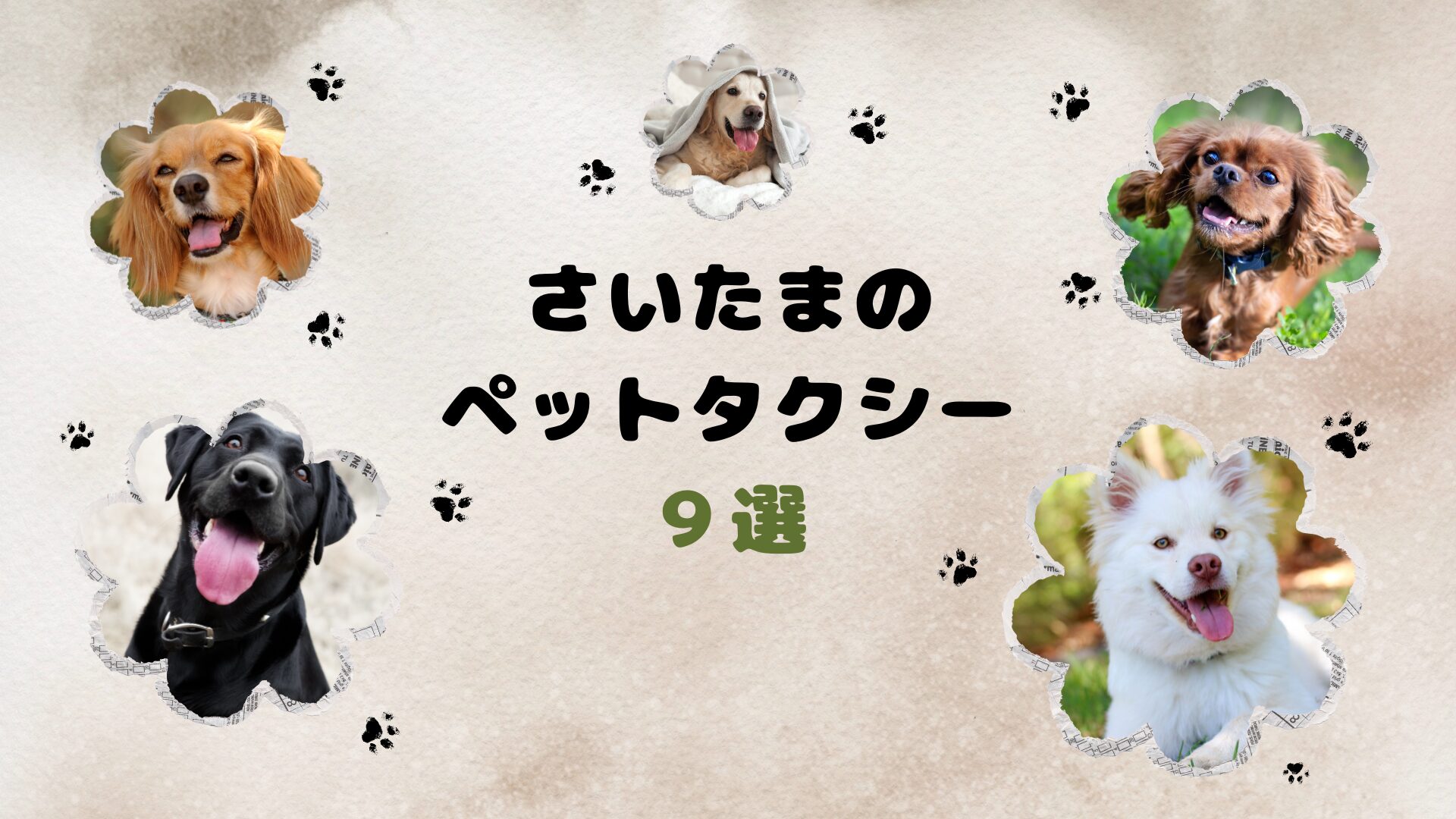 埼玉のおすすめのペットタクシー