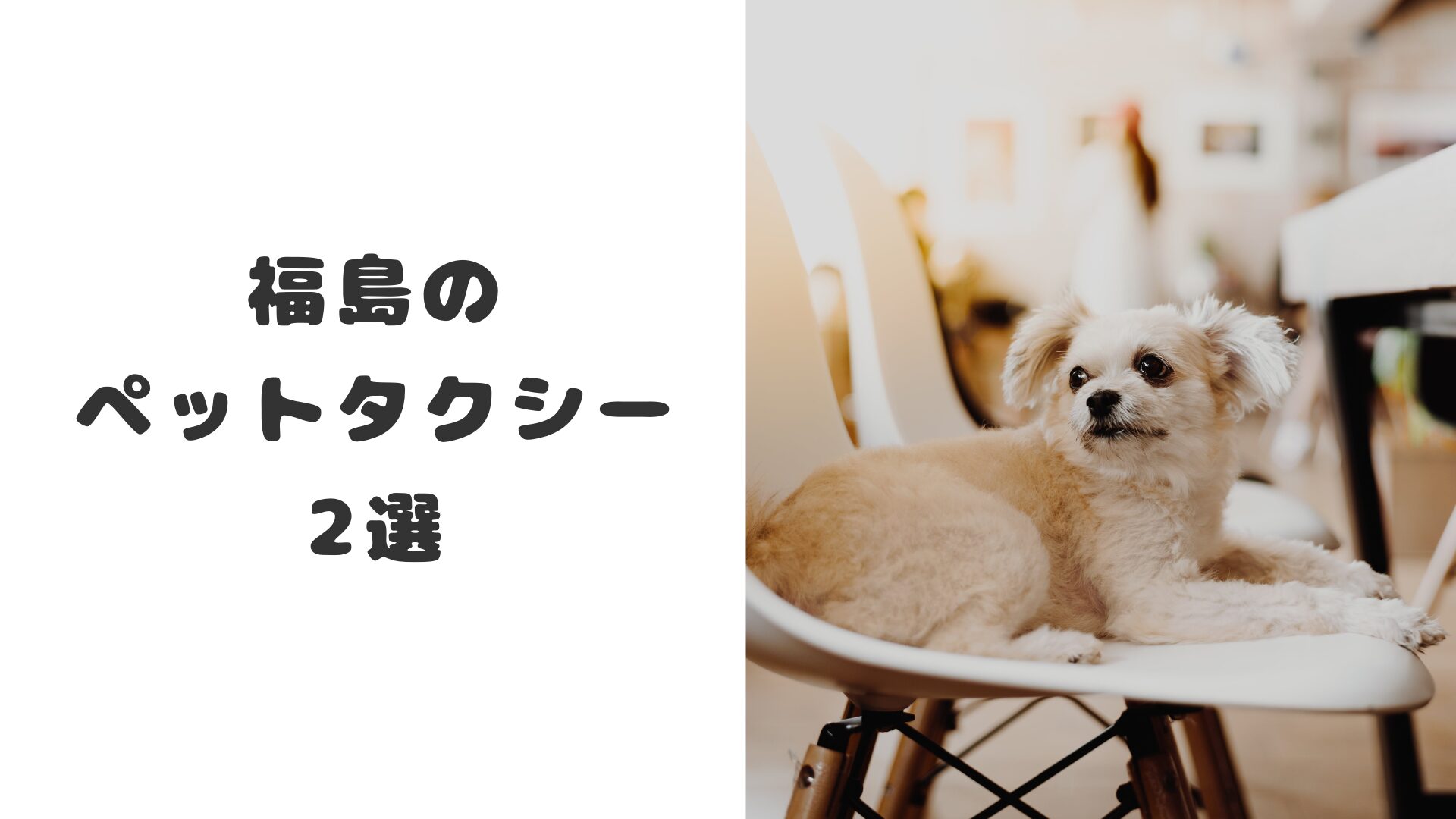 福島のおすすめのペットタクシー