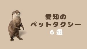 愛知のおすすめのペットタクシー