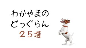 自然豊かな和歌山で一度は行ってみたいおすすめのドッグラン【25選】