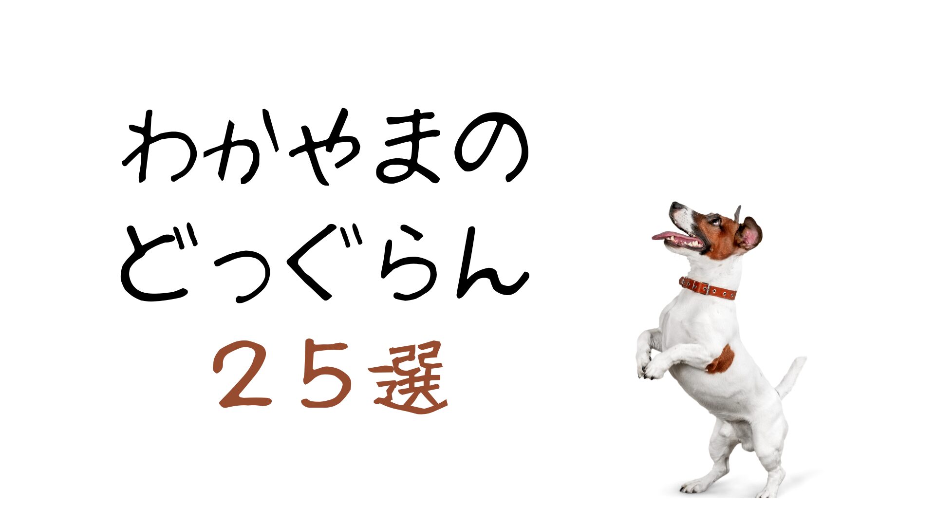 自然豊かな和歌山で一度は行ってみたいおすすめのドッグラン【25選】