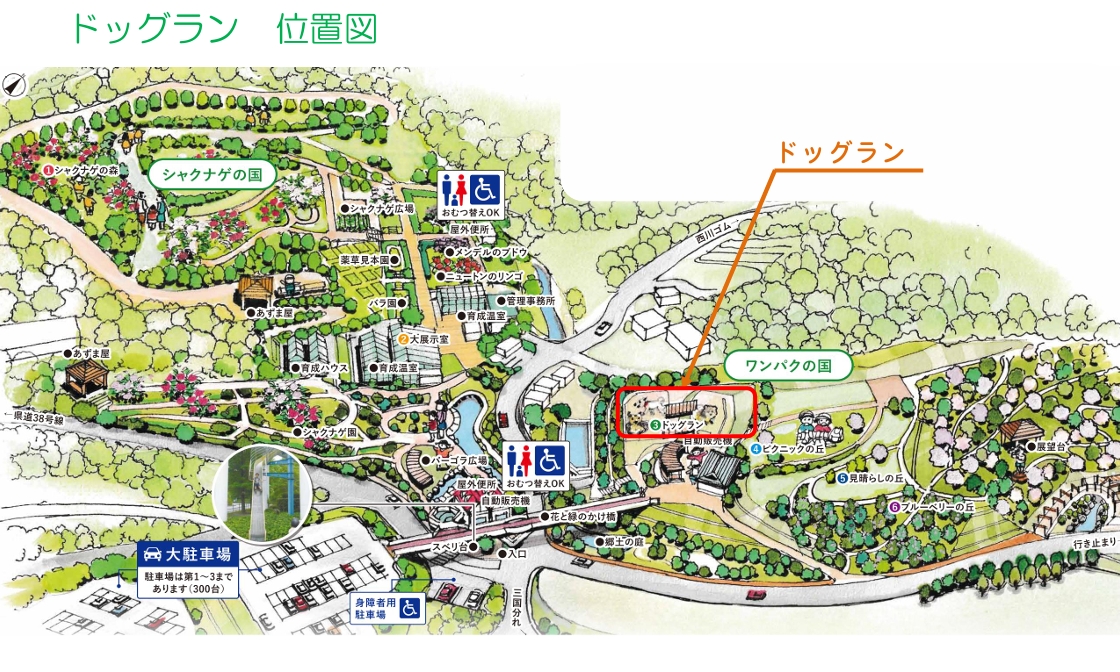 花みどり公園 わんぱくの国