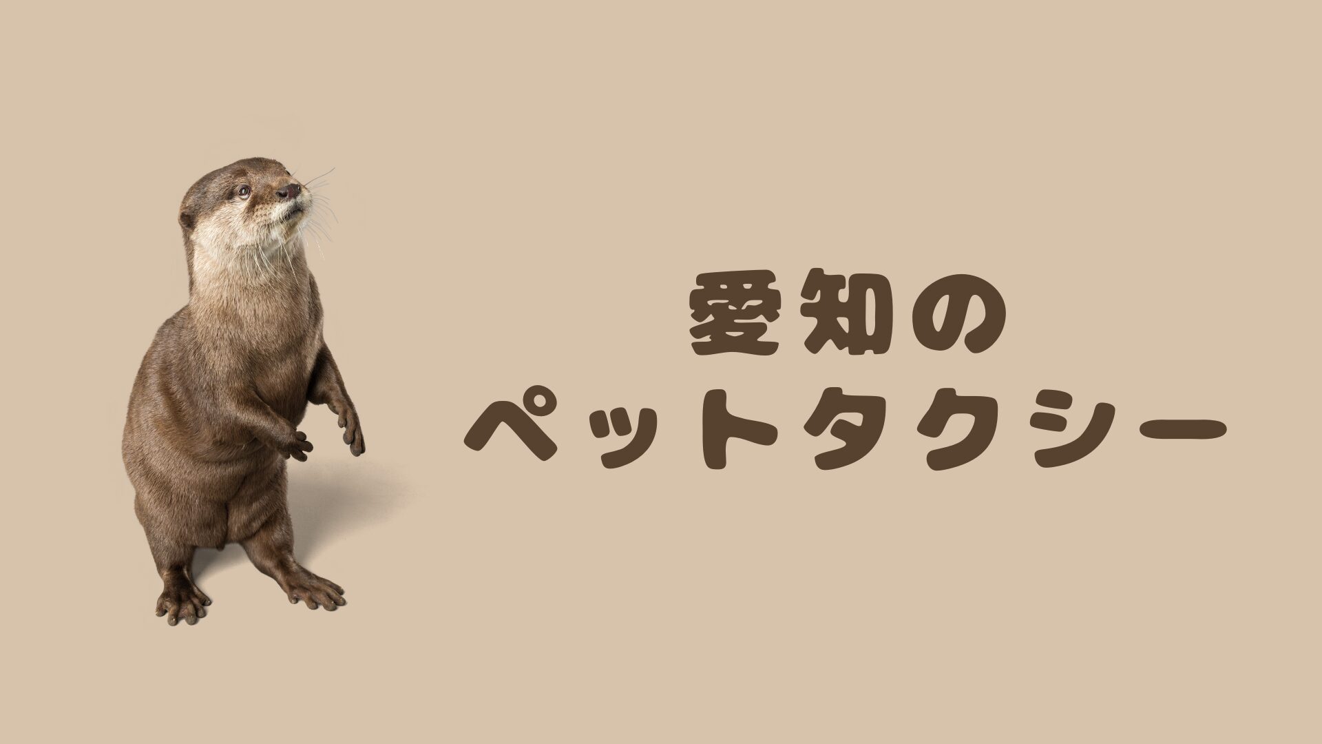 車王国の愛知で営業しているおすすめペットタクシー【8選】