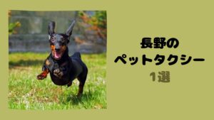長野のおすすめのペットタクシー