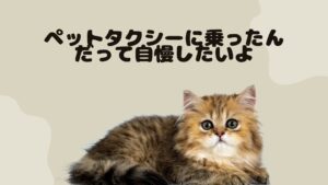 鳥取のおすすめのペットタクシー