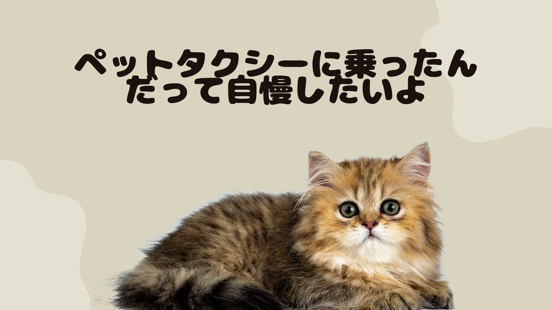鳥取のおすすめのペットタクシー