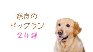 鹿がいる奈良公園に負けないくらい魅力ある奈良のドッグラン【24選】