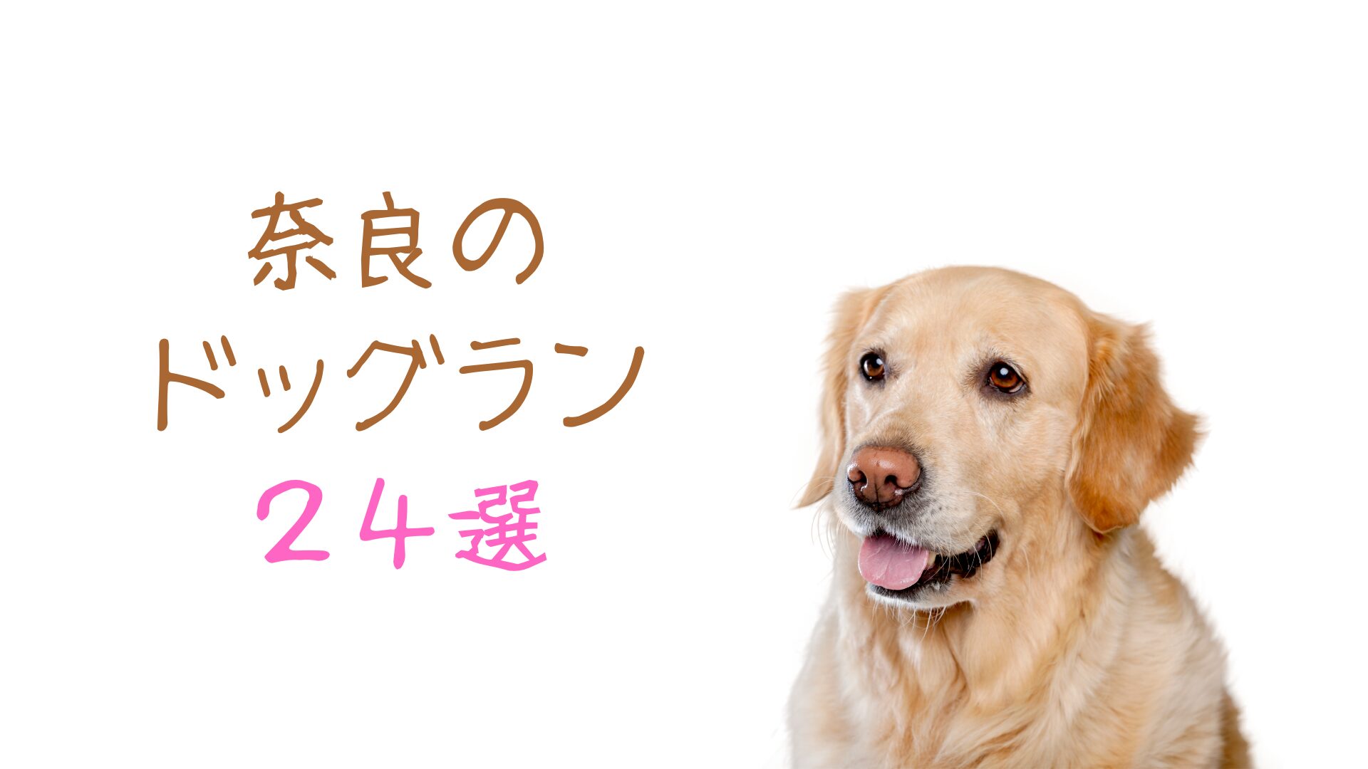 鹿がいる奈良公園に負けないくらい魅力ある奈良のドッグラン【24選】