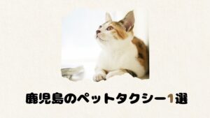 鹿児島のおすすめのペットタクシー