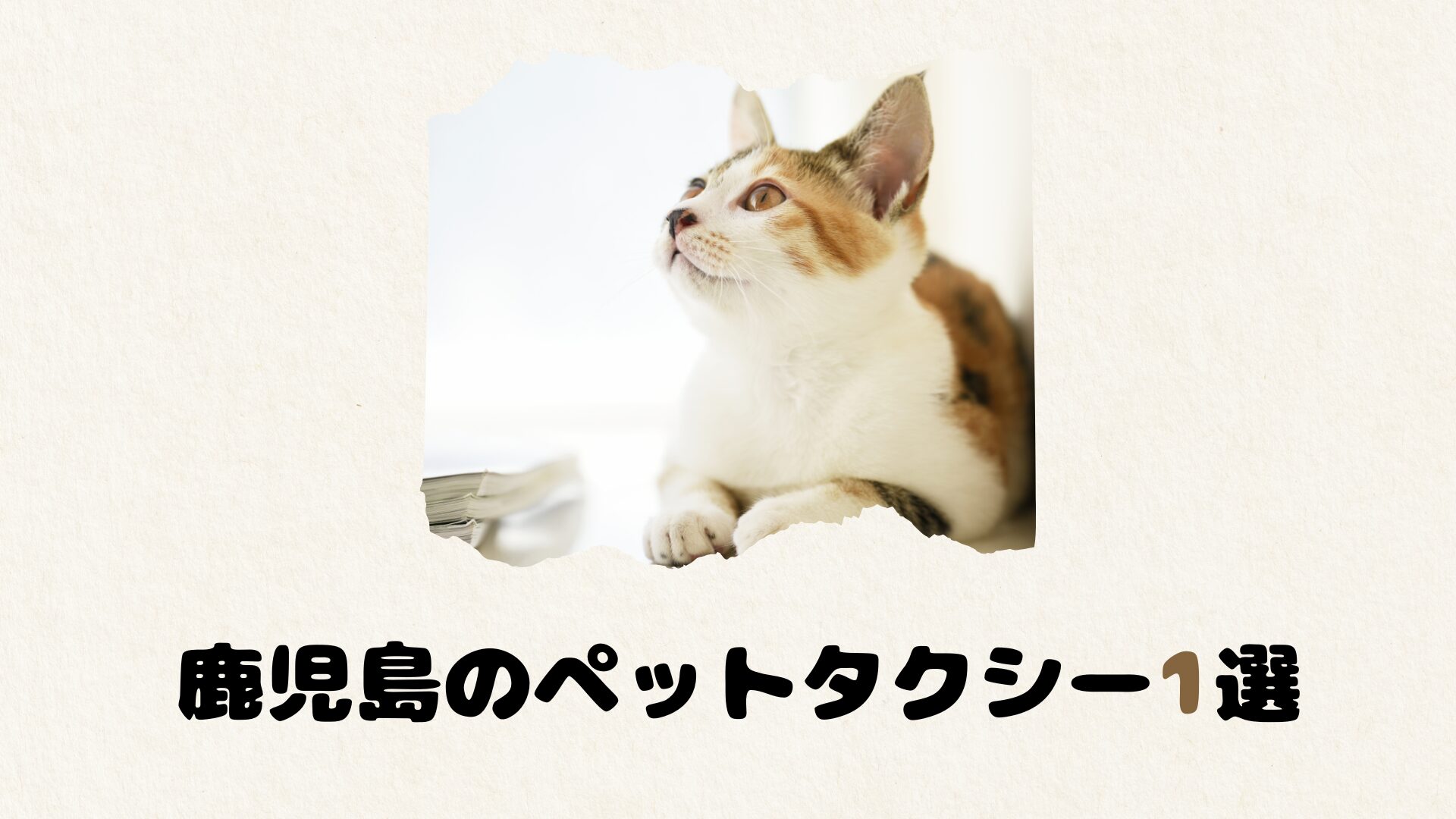 鹿児島のおすすめのペットタクシー